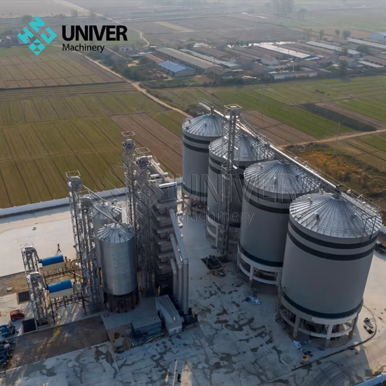 2023 Le plus récent silo en acier avec un silo à grains de maïs et de blé à prix compétitif