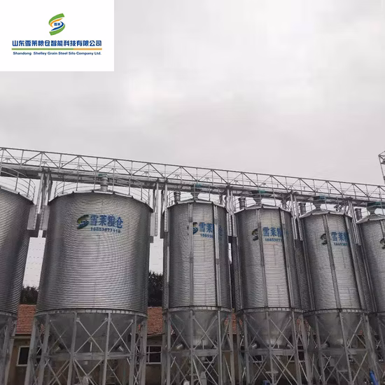 Silo de stockage de silo à grains en acier galvanisé à chaud pour le stockage du paddy