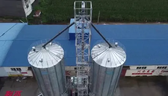 Chine Vente directe d'usine Capacité personnalisée de haute qualité Blé Maïs Stockage de riz paddy Silo à grains de fond de trémie en acier ondulé galvanisé